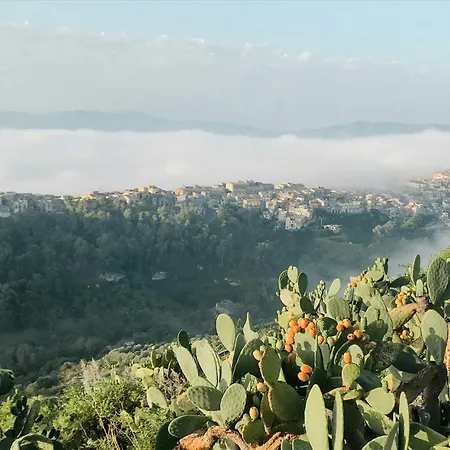 Panoramic Among Vizzini's Cacti Santo Pietro (Catania)