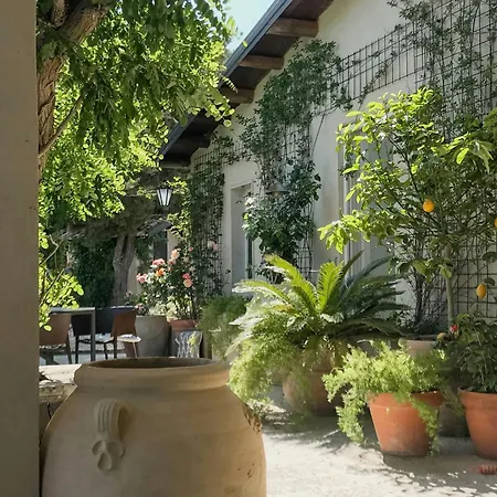 Panoramic Among Vizzini's Cacti *